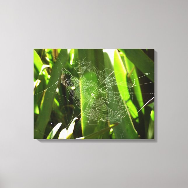 Spiderweb in tropischen Blätter Natur Leinwanddruck (Vorderseite)