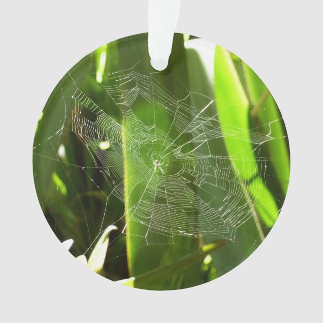 Spiderweb in tropischen Blätter Natur Ornament (Vorderseite)