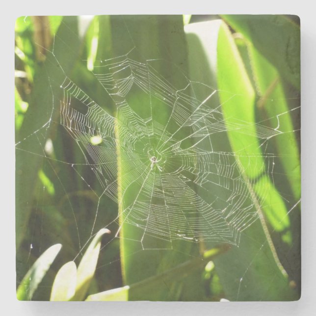 Spiderweb in tropischen Blätter Natur Steinuntersetzer (Vorderseite)