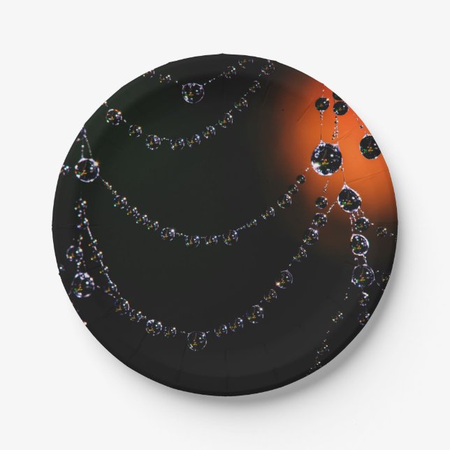Spiderweb Juwelen ernten Mond schwarz Orange Pappteller (Vorderseite)
