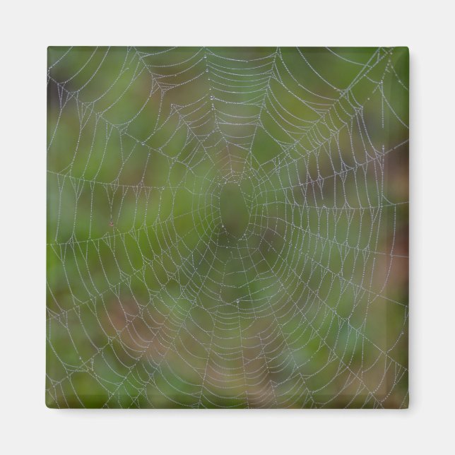 Spiderweb mit Droplets Magnet (Vorne)