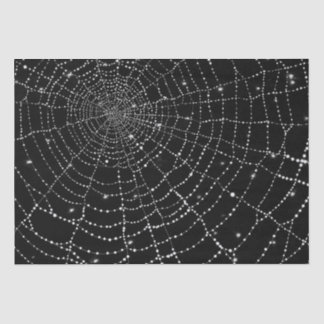 Spiderweb Seidenpapier
