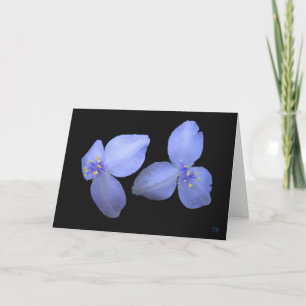 Spiderwort-Blumen-Raum-Gruß-Karten Karte