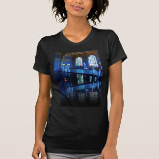 Spiegel-Bild Hearst Schloss-Hallenbad T-Shirt