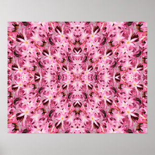 Spiegel von Amaryllis.... Poster