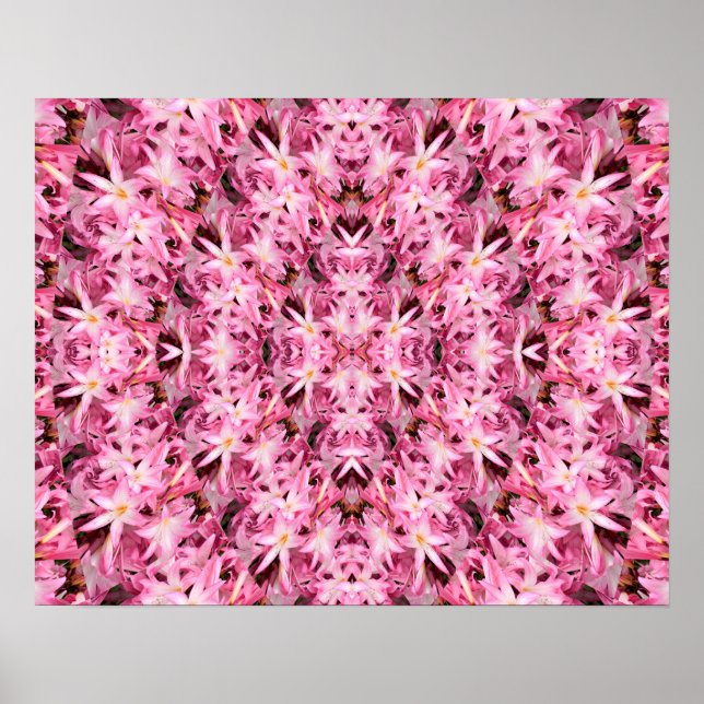 Spiegel von Amaryllis.... Poster (Vorne)