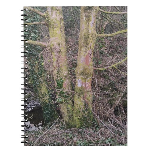 Spiegelbaum-Notebook Notizblock (Vorderseite)