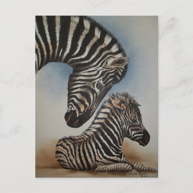 Spiegelbild (Zebra) Zubehör Postkarte (Vorderseite)
