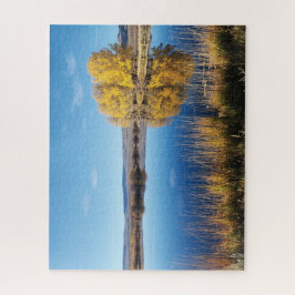 Spiegelteich-Puzzle