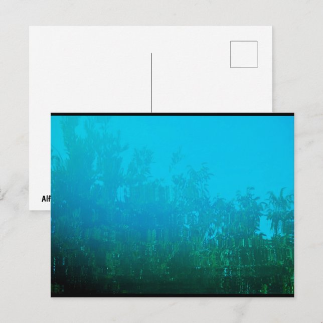Spiegelung im Wasser Postkarte (Vorne/Hinten)