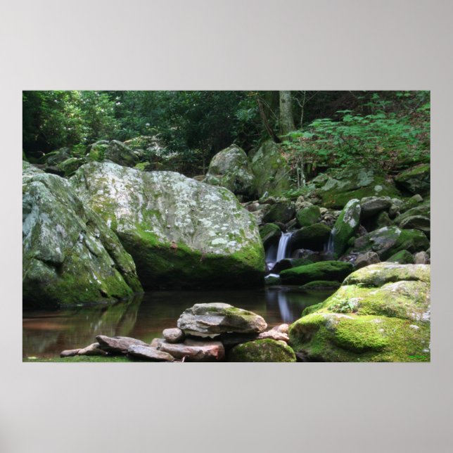 Spiegelungen der Mineral Creek Poster (Vorne)