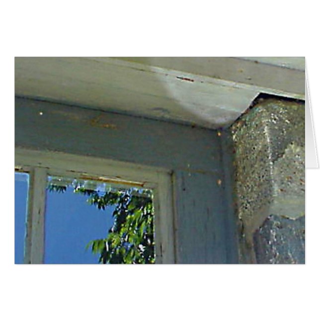 Spiegelungskarte (Vorderseite (Horizontal))