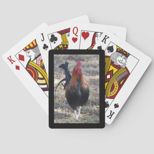 Spiel-Hahn-Foto Spielkarten (Rückseite)