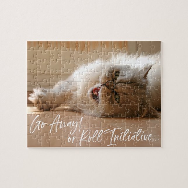 Spiel on | Angry Go Away RPG Roleplayer Cat Foto (Horizontal)