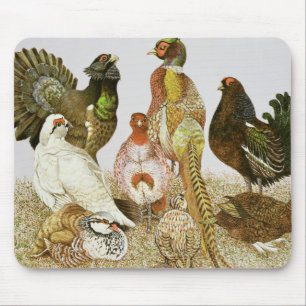 Spiel-Vögel Mousepad
