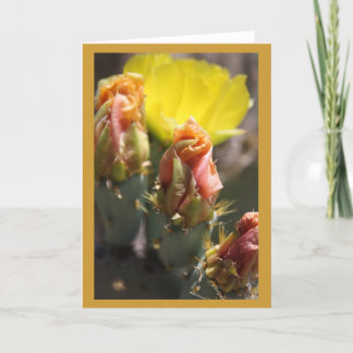 Spiel von Thorns Karte