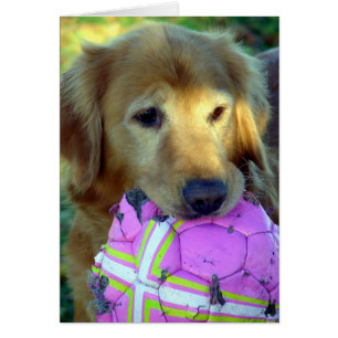 Spielen Sie bitte mit mir