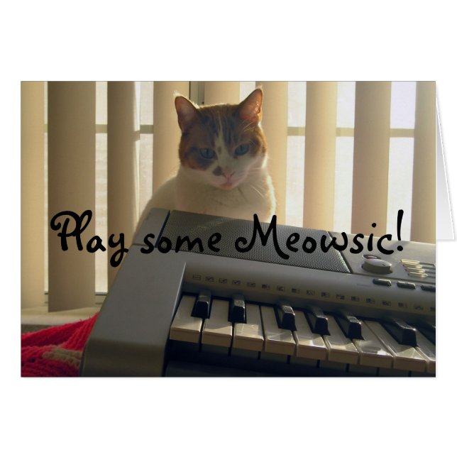 Spielen Sie ein Meowsic! (Vorderseite (Horizontal))
