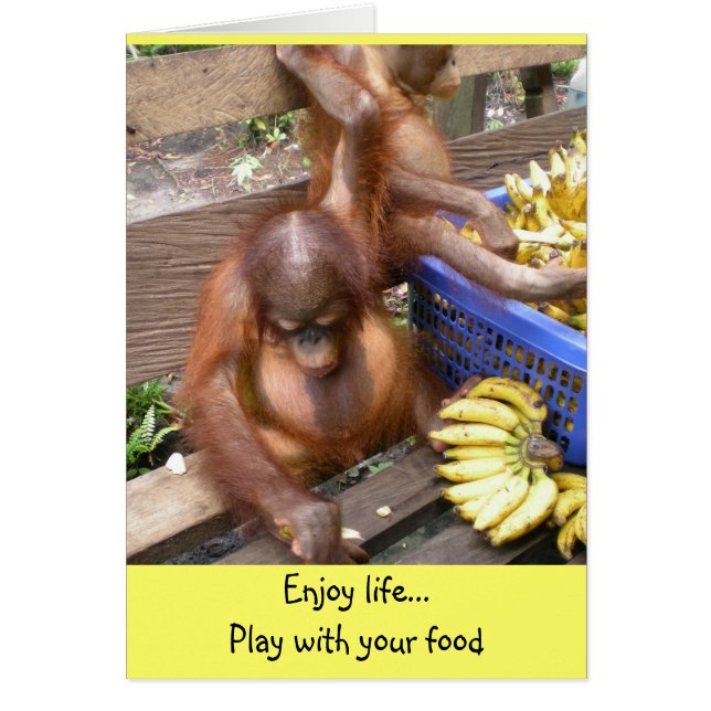 Spielen Sie mit Ihrem Essen (Vorne)