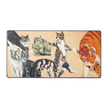 Spielende Katzen