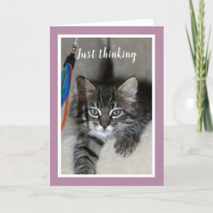 Spielende Kitten Friendship Card Karte