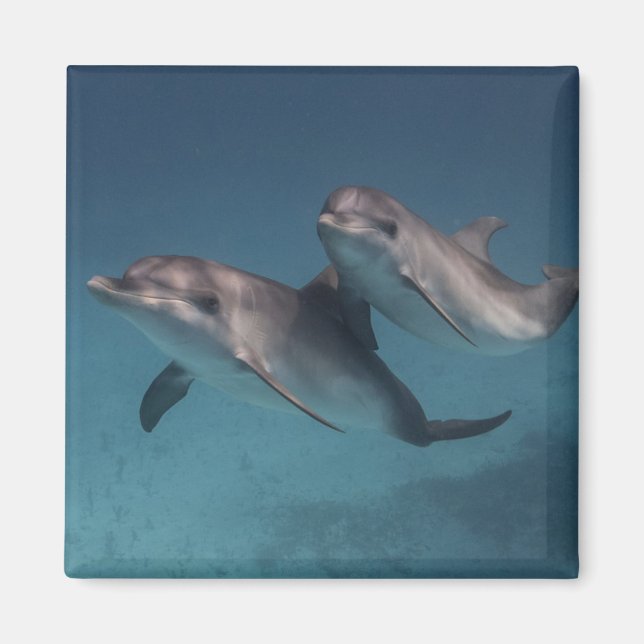 Spielende Pose Magnet (Vorne)