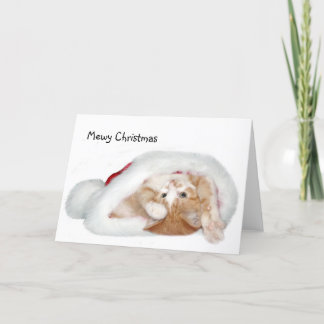 Spielendes Weihnachtskätzchen Feiertagskarte