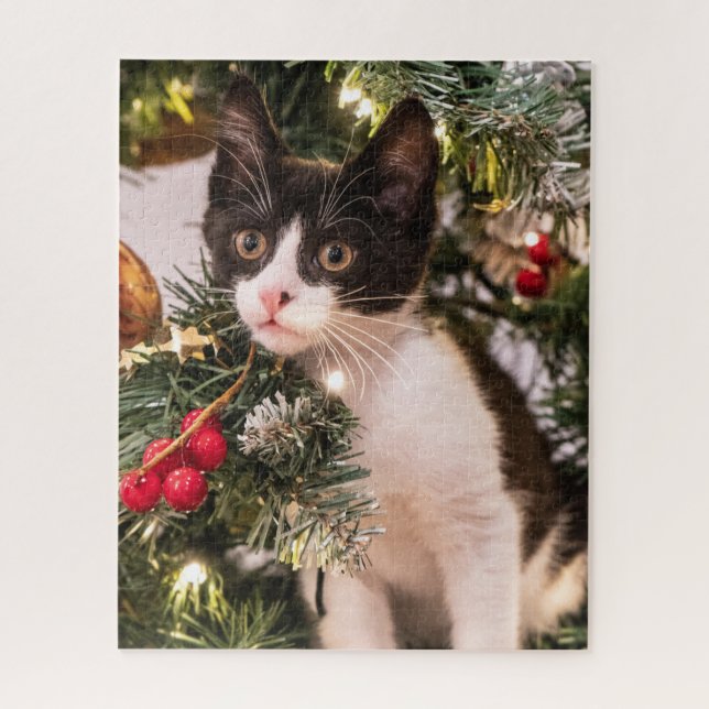 Spielerisch Schwarze und Weiße Katze im Weihnachts (Vertikal)