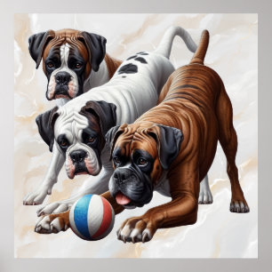 Spielerische Boxer-Hunde Poster