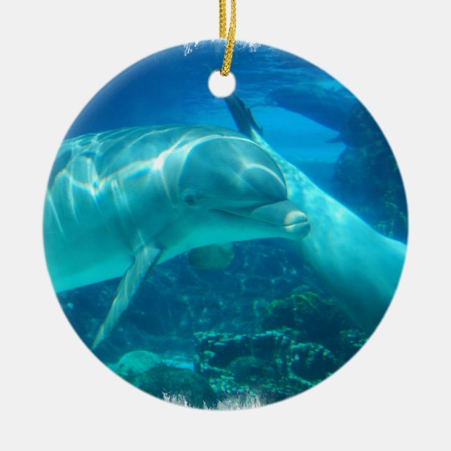 Spielerische Delphin-Verzierungen Keramikornament (Vorne)