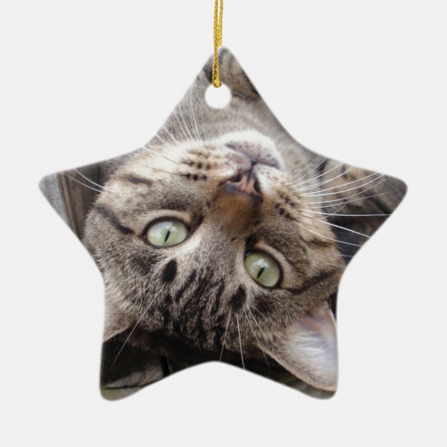 Spielerische gestreifte wilde Tabby-Katze Keramikornament (Vorne)