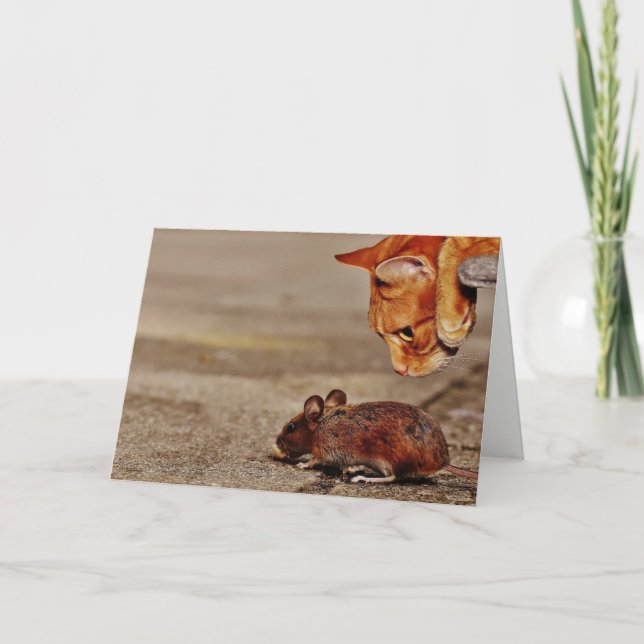 Spielerische Orangenkatze mit unsichtbarem Mauszei Karte (Vorderseite)