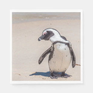 Lustige Pinguine Geschenke Zazzle Ch