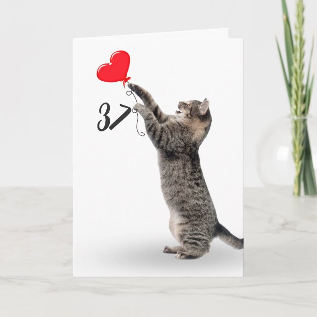 spielerische Tischkatze zum 37. Geburtstag Karte (Vorderseite)