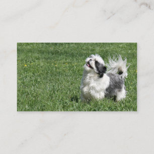 Spielerische Visitenkarte Shih Tzu