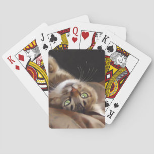 Spielerischer Miezekatze-Kartensatz Spielkarten