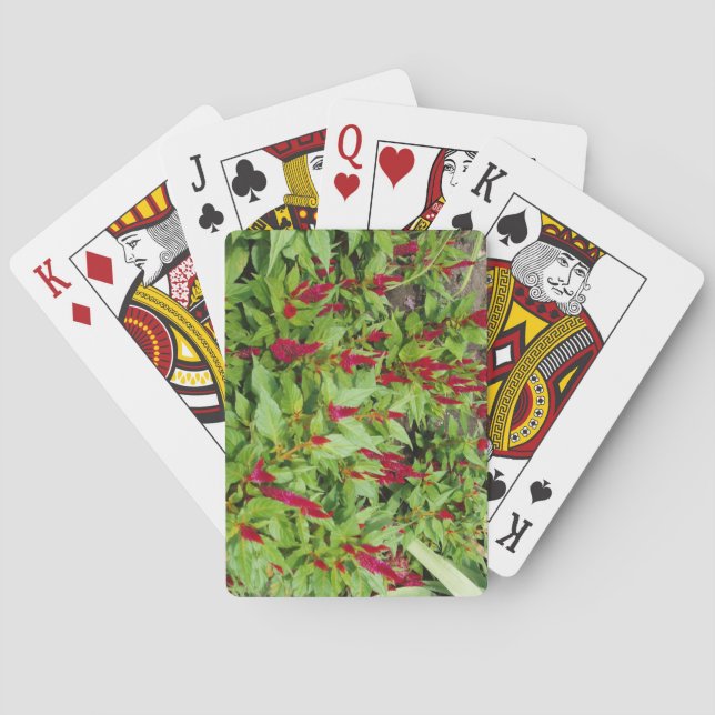 Spielfeld voll mit Blume Spielkarten (Rückseite)