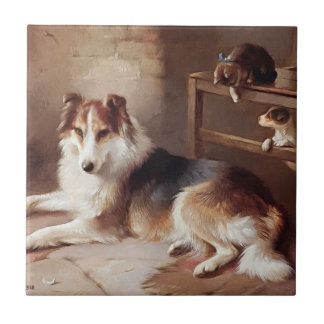 Spielkameraden - Hundekätzchen - Welpe Fliese