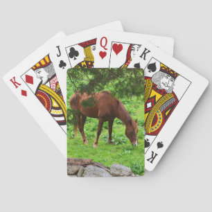 Spielkarten
