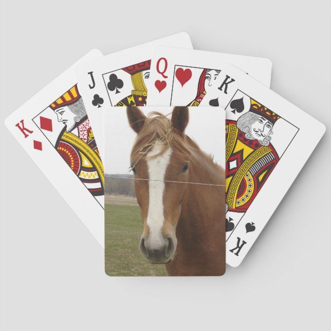 Spielkarten (Rückseite)