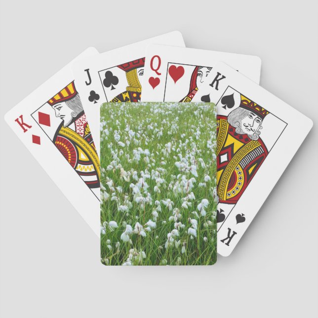 Spielkarten aus Baumwollgras (Rückseite)
