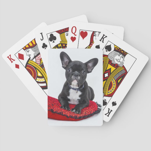 Spielkarten der französischen Bulldogge (Rückseite)