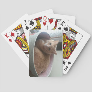 Spielkarten der Miezekatze