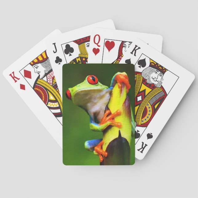 Spielkarten des Frosch-2 (Rückseite)