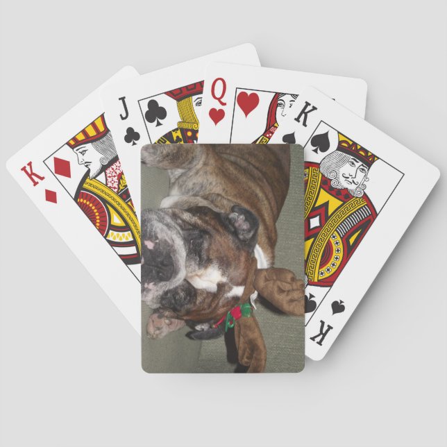 Spielkarten des Pokers englische Bulldogge mit (Rückseite)