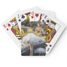 Spielkarten für das Pilzdesign