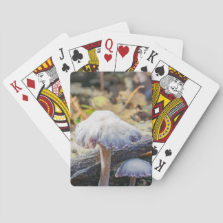 Spielkarten für das Pilzdesign