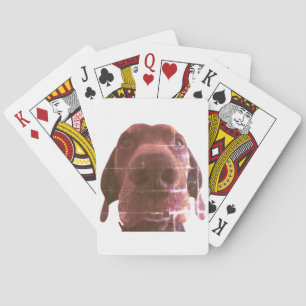 Spielkarten für Hunde