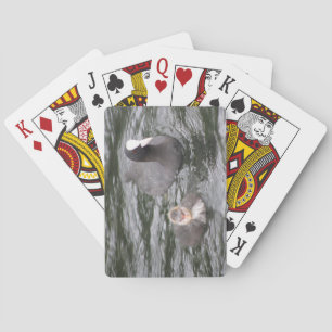 Spielkarten für Rinder und Rinder