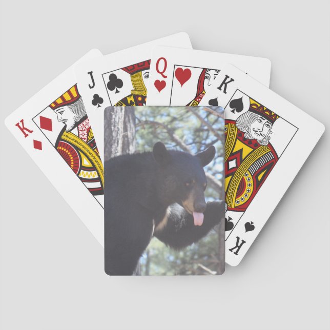 Spielkarten für schwarzen Bär (Rückseite)